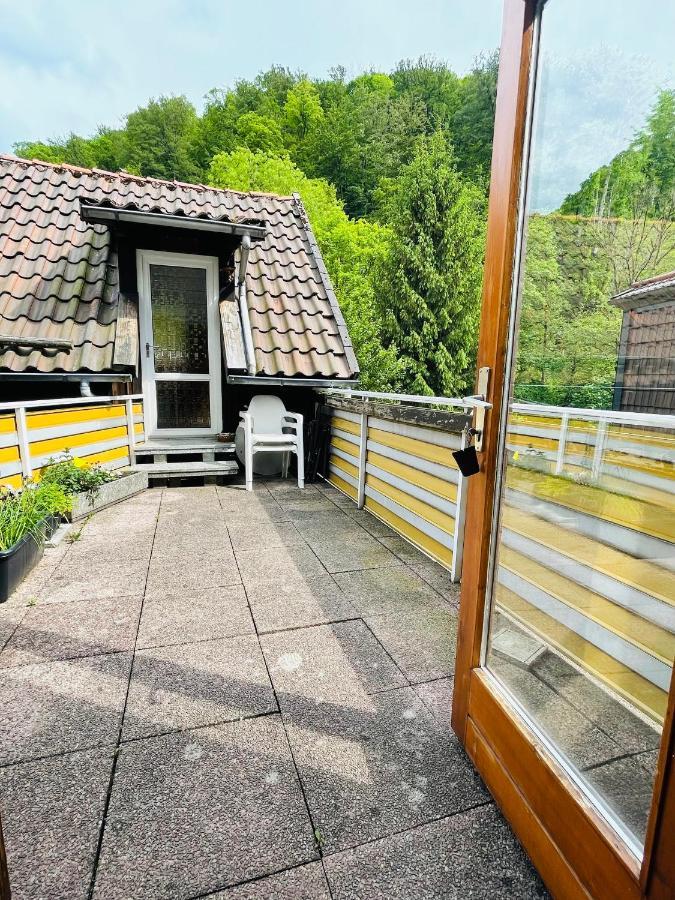 Gemuetliches Apartment Mit Kamin Und Wohnkueche ヘルツベルク・アム・ハルツ エクステリア 写真